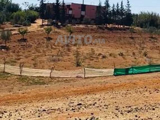 Terrain de 2500 mètres avec un puits carré au milieu des fermes