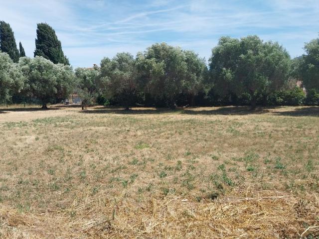 Terrain de 2513 m2 en vente Six Fours les Plages, France
