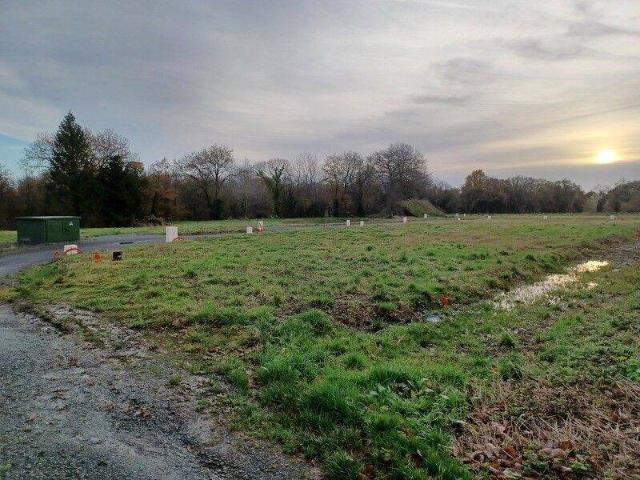 Terrain de 261m²