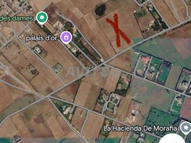 Terrain de 28000 m² limite Labissa