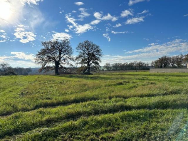 Terrain de 290 m² BOUGUENAIS