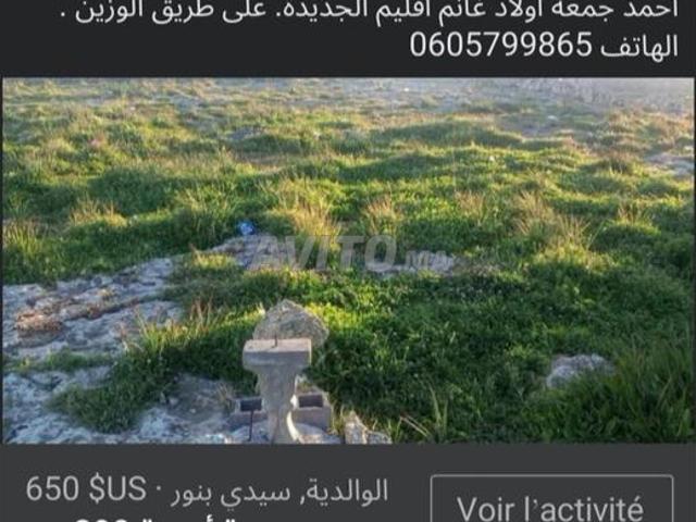 Terrain de 290 m²