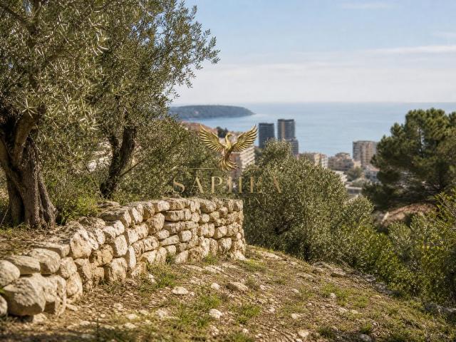 Terrain de 2000 m2 en vente Beausoleil, France