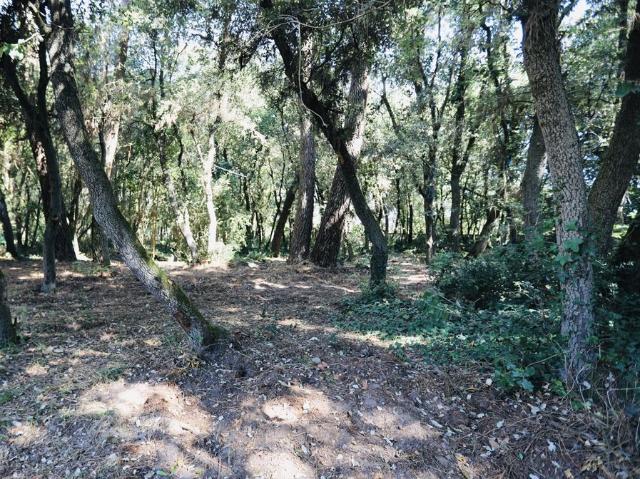 Terrain de 2000 m2 en vente Les Sables d'Olonne, France