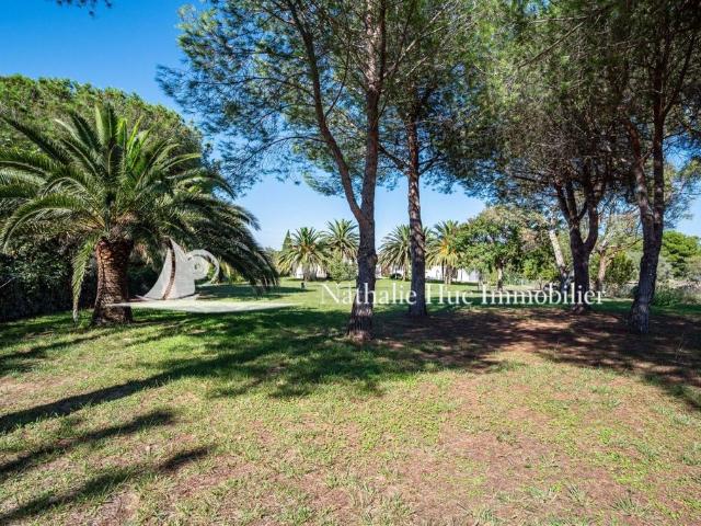 Terrain de 2000 m2 Perpignan, France