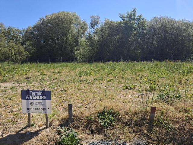Terrain de 359 m² aux Herbiers