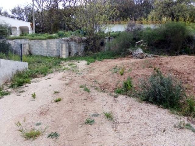 Terrain de 3602 m2 en vente Vidauban, Provence Alpes Côte d'Azur
