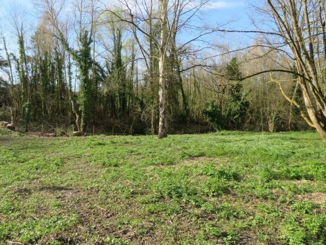 Terrain de 3726 m2 en vente Montfort l'Amaury, France