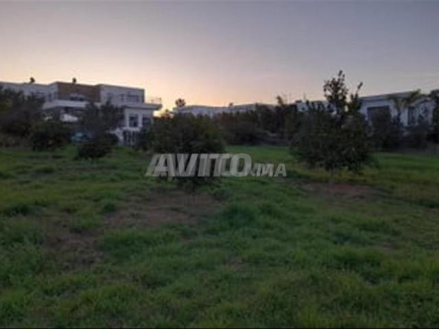 Terrain de 3000 m zone villa