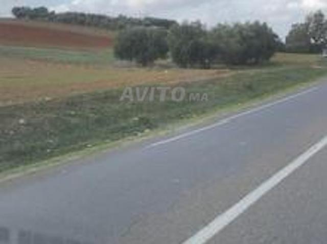 Terrain de 3000m² sur la route nationale à 2 km de Tiflet