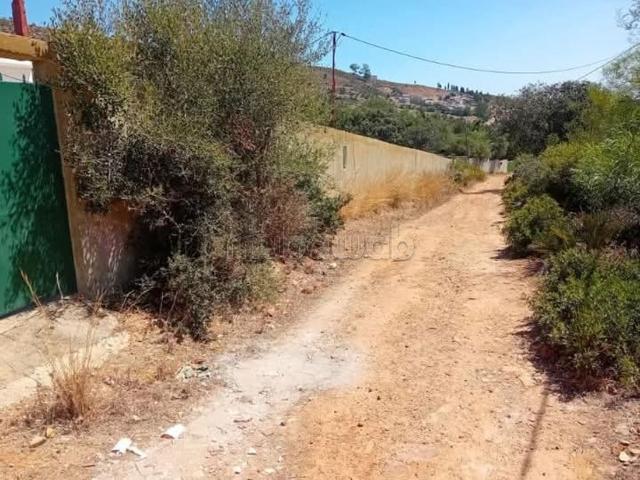 Terrain de 300m2 à vendre à Ain bellouth Tanger