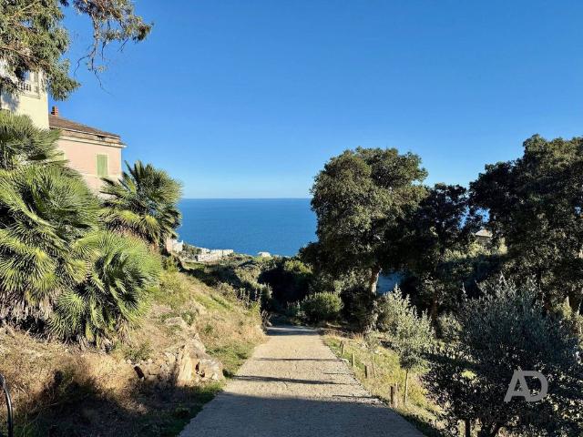 Terrain de 3334 m2 Bastia, France