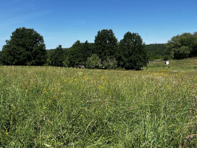 Terrain de 3 353 m2 en campagne avec belle exposition