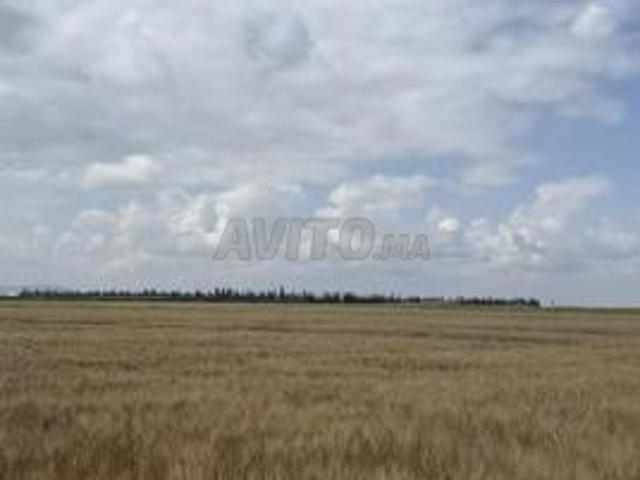 Terrain de 3 hectares à vendre