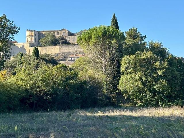 Terrain de 4324 m2 en vente Grignan, Auvergne Rhône Alpes