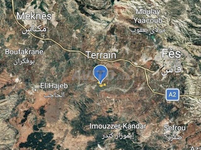 Terrain de 4,34 hectares entre Fès et El Hajeb