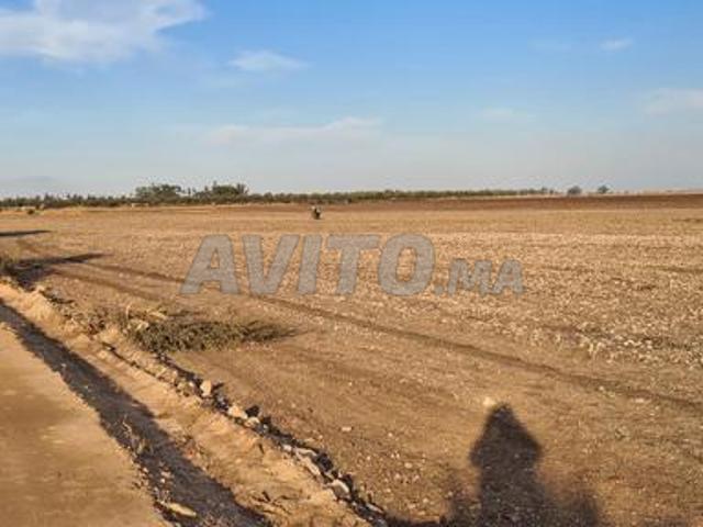 Terrain de 4 hectares, après Victoria