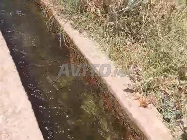 Terrain de 4 hectares, prix 27 millions par hectare, Ait Ourir