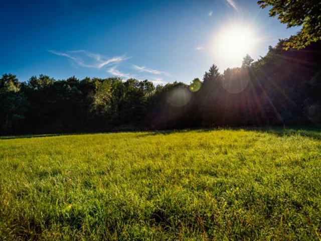 TERRAIN DE 547m² A MARTIGNAS SUR JALLES