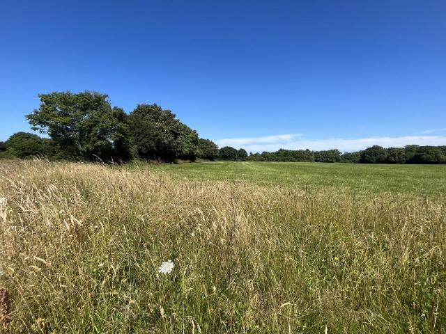 TERRAIN de 595 m² au Puy Saint Bonnet CHOLET