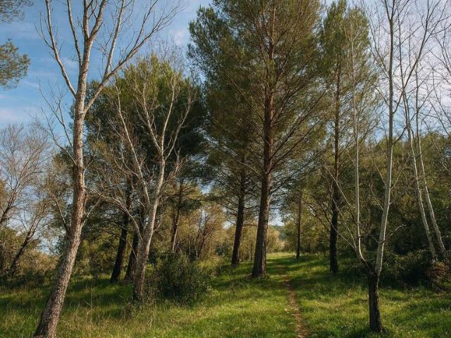 Terrain de 5968 m2 Mallemort, Provence Alpes Côte d'Azur