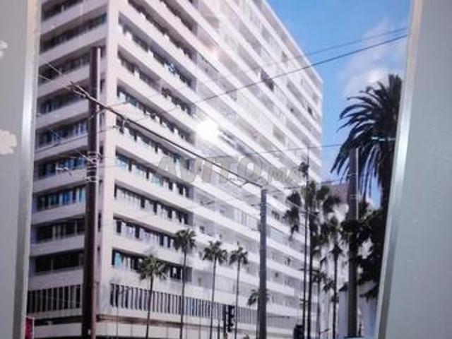 Terrain de 5000m2 Bd Mohamed 6 à vendre
