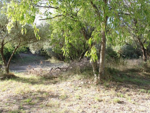 Terrain de 5266 m2 en vente Uchaud, Occitanie