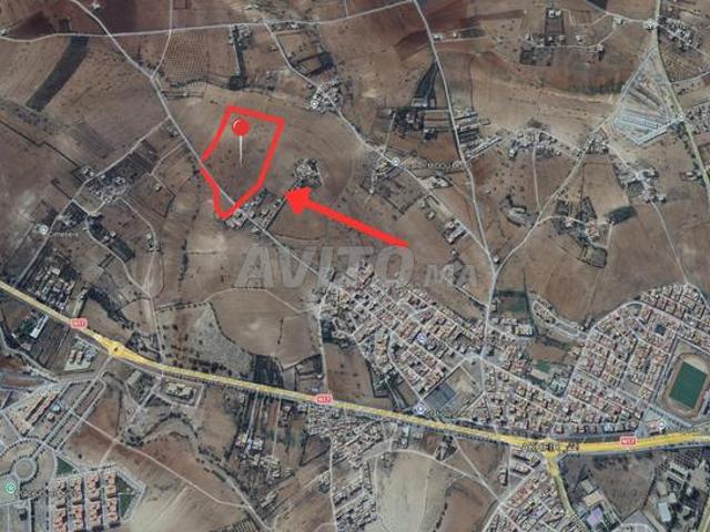 Terrain de 5 hectares à Ahfir route d'Oujda