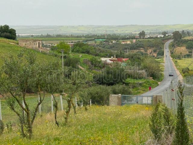 Terrain de 5 hectares dans la région de Salé Shoul