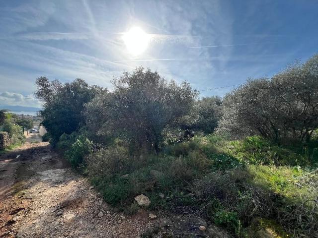 Terrain de 617 m2 La Ciotat, Provence Alpes Côte d'Azur