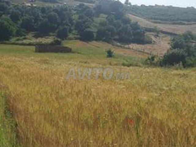 Terrain de 6 khadama