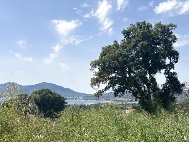 Terrain de 746 m2 Porticcio, France
