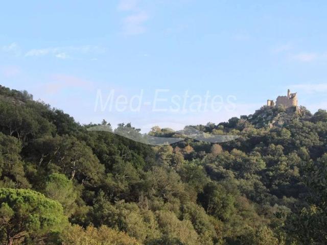 Terrain de 7000 m2 Grimaud, France