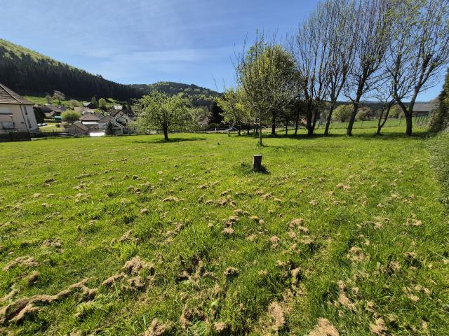 Terrain de 7,99 ares avec vue dégagée et excellent ensoleillement