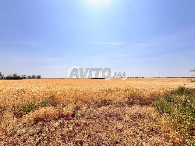 Terrain de 800000 m² à Oulad Salah