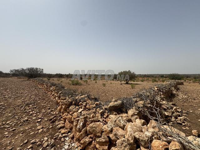 Terrain de 8000 m2 à 16kms d'Essaouira