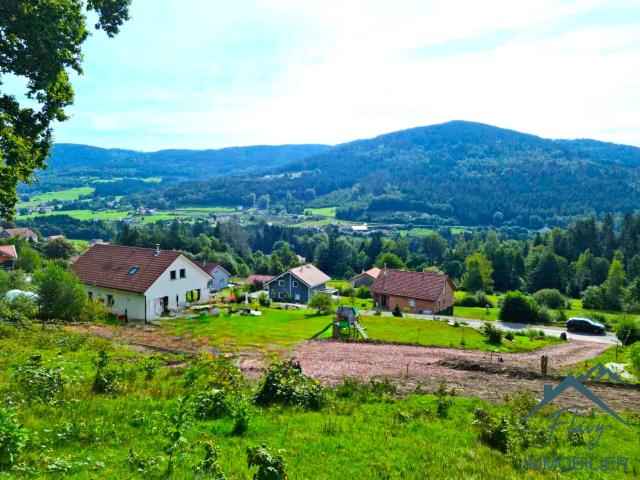 Terrain de 8385 m2 dont 3542m2 constructible 15min de Gérardmer