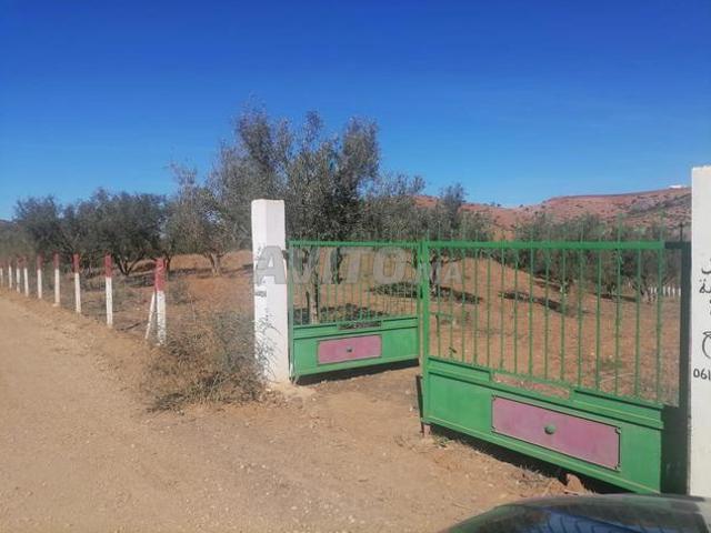 Terrain de 8.5 ha à Sept Jehjouh près de Meknès