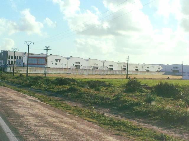 Terrain de 8 hectares à Mkansa Ain Chok