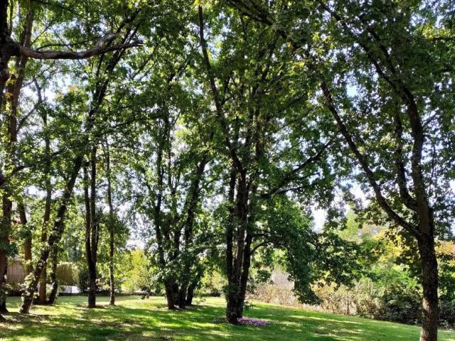 Terrain de 900 m² m²
