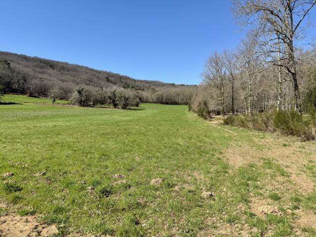 Terrain de 9140m2 à vendre