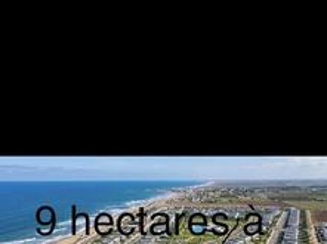 Terrain de 9 hectares en zone villa