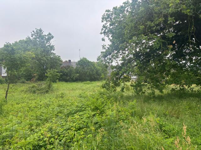 Terrain d'env.500 m² RENAC