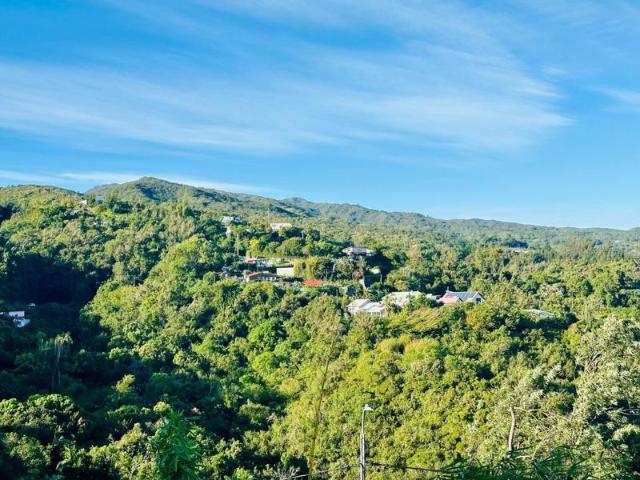 Terrain d'environ 2100m² constructible avec batisse de plan pied à réhabiliter de 137 m² · La Montagne 97417 · pK11