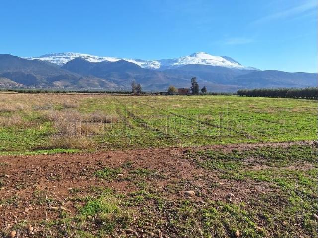 Terrain d'environ 2 hectares
