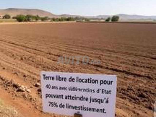 Terrain d'état à louer