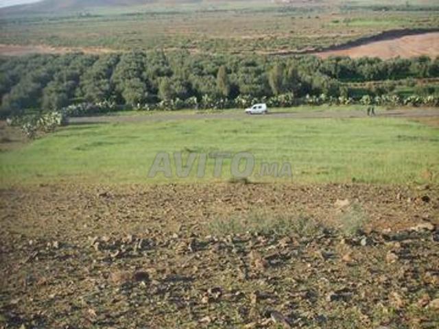 Terrain d'exception de 12 000 m² 1,2 Ha