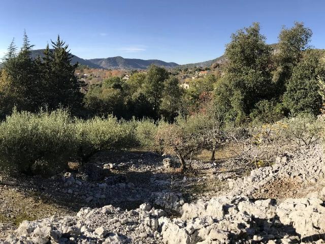 Terrain d'oliviers et mazet St Hippolyte du Fort