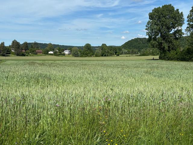 Terrain Doucier 920 m2 Zone artisanale et commerciale