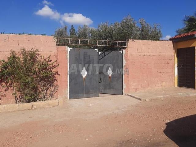 Terrain et maison à vendre à Sidi El Aidi